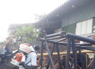 Aplican larvicidas en paseos públicos