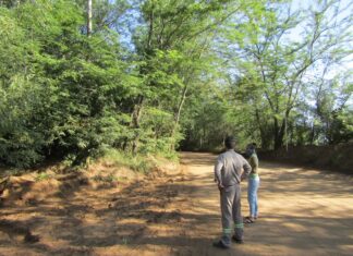 Se realizaron acciones de preservación en Paso Vera