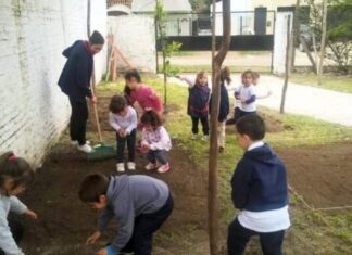 El jardín de infantes Sirirí ya tiene su huerta
