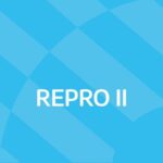 p4 pago del repro ii