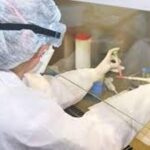 p5 coronavirus en entre ríos1