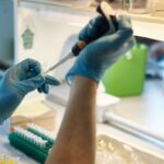 p5 coronavirus en entre ríos3