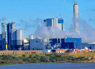 Alertan que la exBotnia no cumple el fallo de La Haya