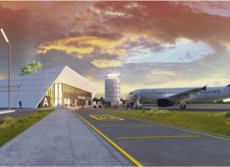 Analizan licitación del aeropuerto binacional