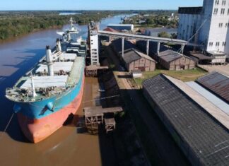 Bahillo apoya la decisión del Gobierno Nacional