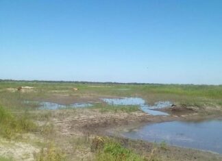 Detectaron terraplenes irregulares