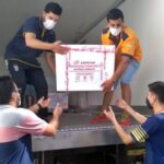 p8 – En febrero comenzaría la vacunación masiva