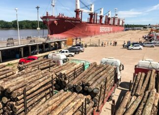 La exportación forestal generó más de $3000 millones