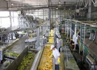 La industria entrerriana cerró el 2020 con niveles dispares