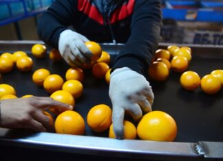 Productores valoran la quita de retenciones