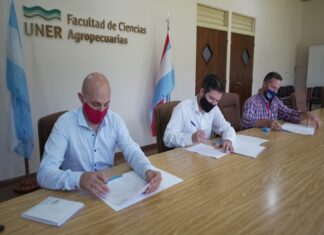 Se potenciará el arbolado urbano