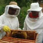 p9 – Buscan exportar productos regionales