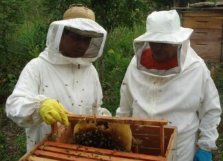 Buscan exportar productos regionales