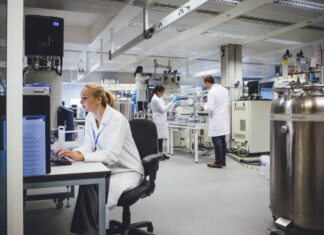 Más de 130 mercados son provistos por Entre Ríos