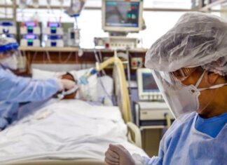 Invirtieron más de 23 millones en subsidios