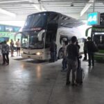 P9- colectivos