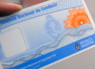 Detectaron red que ofrecía licencias de conducir falsas