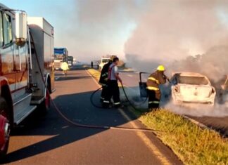 Dos muertos tras violento choque sobre ruta 12