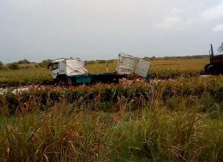 Choque frontal entre camión y camioneta