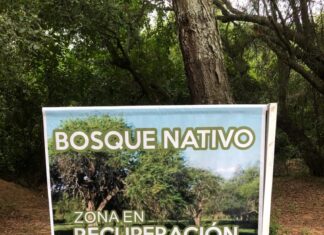 Colocaron cartelería informativa en Paso Vera