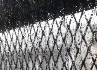 Se pronostican tormentas durante todo el día