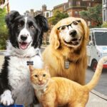 p16 cine – como perros y gatos1
