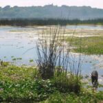 p2 – Después de la emergencia ambiental del 2020 reclaman más cuidados