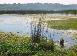 Reclaman más cuidados después de la emergencia ambiental del 2020