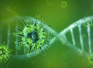 Se dio cuenta de 127 nuevos positivos en Entre Ríos