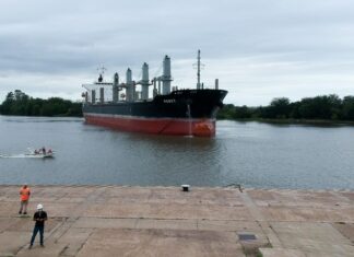 Comienza una nueva exportación de madera