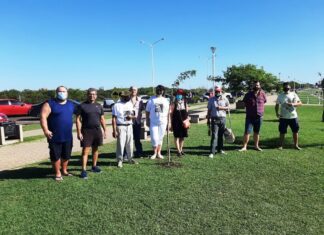 Se plantaron ejemplares de aguaribay en distintos paseos