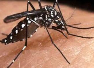 Instan a los vecinos a colaborar con las medidas preventivas