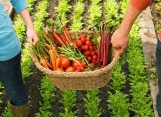 Otorgaron aportes a unidades productivas familiares