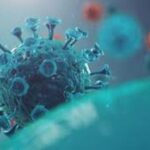 p5 coronavirus en argentina1