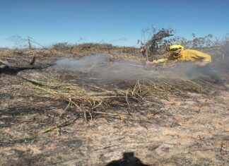 Se produjeron tres incendios en las Islas del Delta