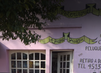 Robaron en una veterinaria y piden devolución de una computadora por valor sentimental