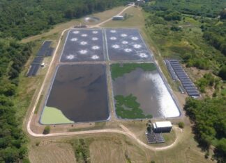 Se llamó a licitación para obras de la planta cloacal de Gualeguaychú