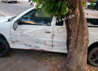 Robó una camioneta y la chocó contra un árbol