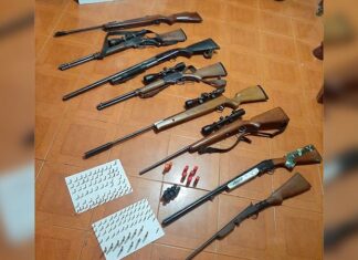 Secuestran un arsenal durante un allanamiento
