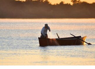 CARU informó sobre programas de conservación para la fauna íctica en el Río Uruguay