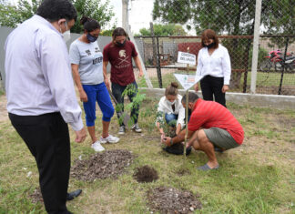 Plantaron árboles en la Escuela Municipal de Artes y Oficios