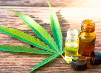 Diputados tratará la Ley de cannabis medicinal