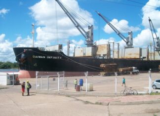 El Daiwan Infinity embarca rollizos de pino para China