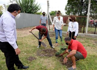 Plantaron un árbol en la Escuela Municipal de Arte y Oficios