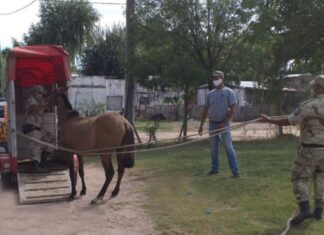 Se puso a otro caballo a resguardo