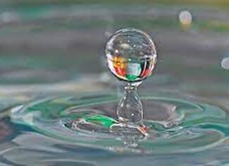 Conmemoraron el Día Mundial del Agua