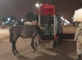 Hubo un nuevo procedimiento