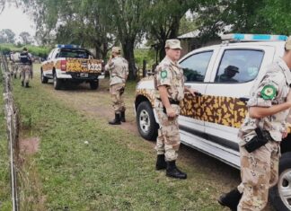 Secuestraron armas de fuego, carne faenada y cartuchería