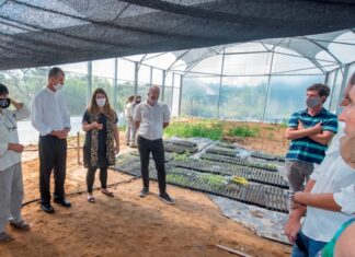 Inauguraron el invernáculo de plantas nativas