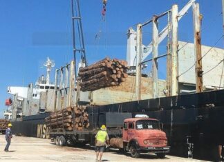 Normalizan la actividad en Ibicuy